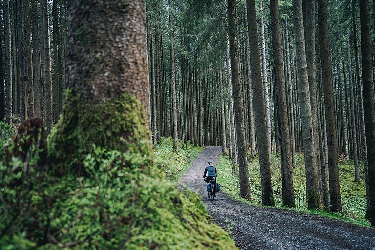 Wenn Wald auf Bewegung trifft kommt Gesundheit raus: Das Allgäu setzt als Wohlfühlregion auf die Kraft der Natur ©Allgäu GmbH, Matthias Wendling