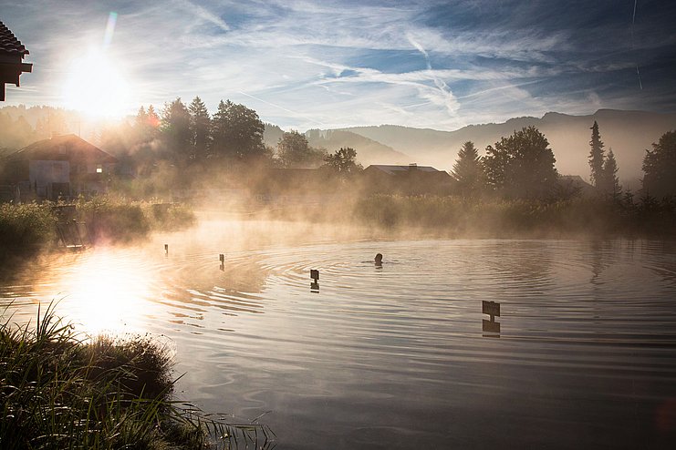 Nebelschwaden über Haubers Natursee