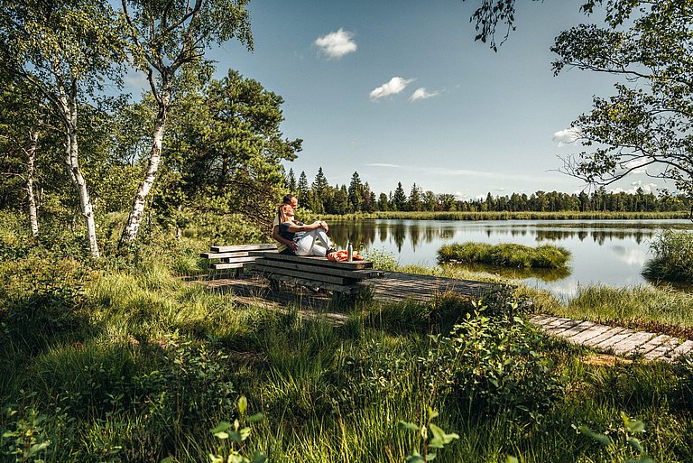 Riedsee im Moor Bad Wurzach