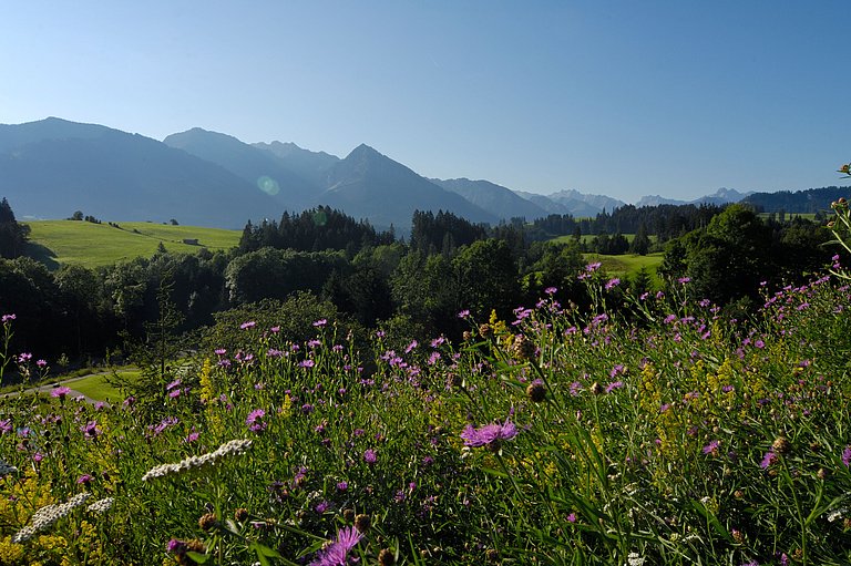 Ofterschwang in "Lückenbüßer"