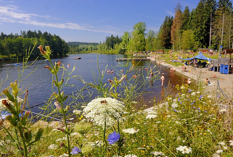 Ein Bild des Waldsees bei Lindenberg