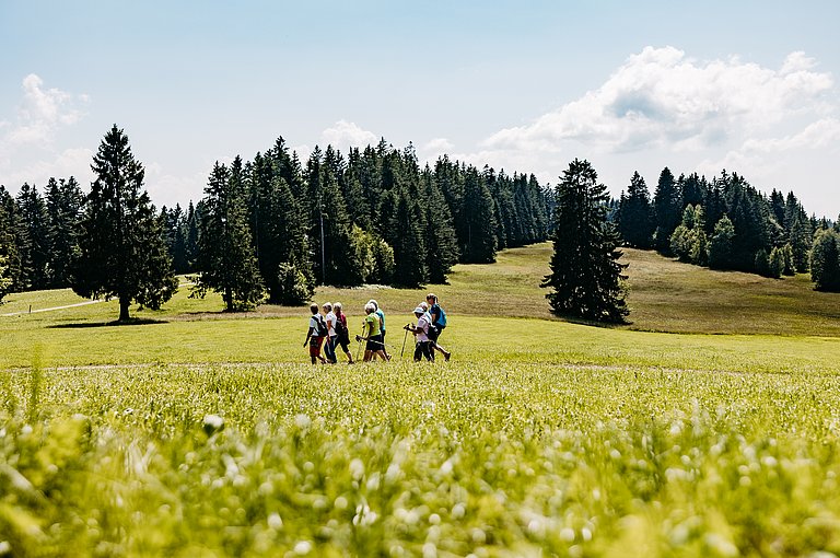 Premiumwanderweg Oberreute Wald und Wiese