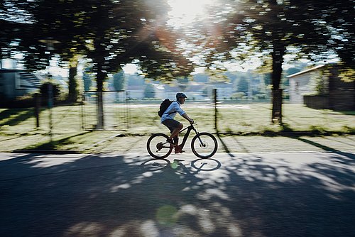 Ein Mann fährt auf einem Fahrrad, im Hintergrund sind Bäume und ein Stadt Panoarama