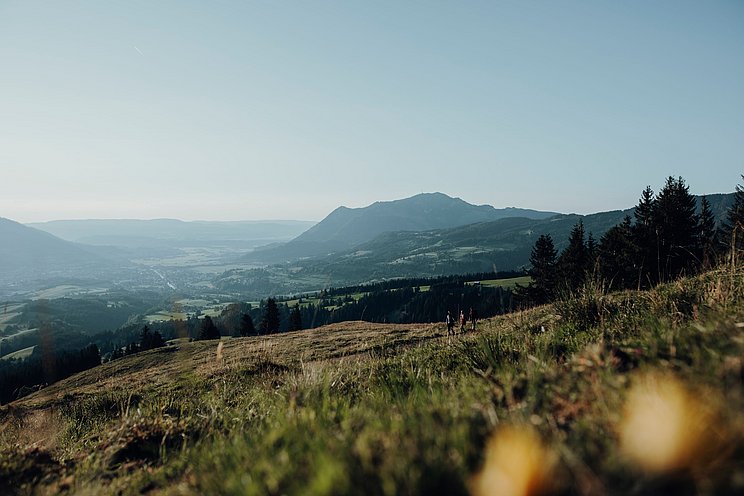 Wanderer auf einer Wiese, im Hintergrund der Grünten