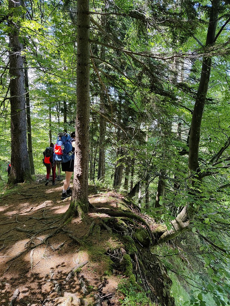 Fjällräven Classic 2022 im Allgäu © Simone Zehnpfennig, Allgäu GmbH Wald