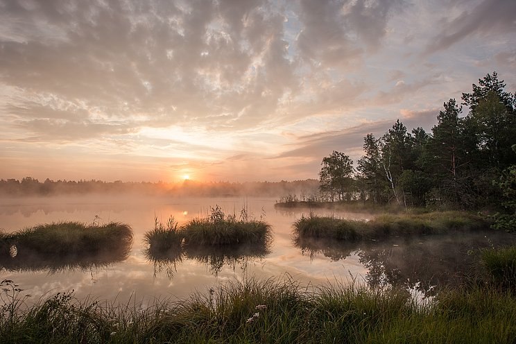 Nebel und Sonnenaufgang über Moorsee im Wurzacher Ried Nebel und Sonnenaufgang über Moorsee im Wurzacher Ried