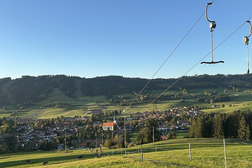 Kühe auf der Wiese unter dem Schlepplift in Weitnau