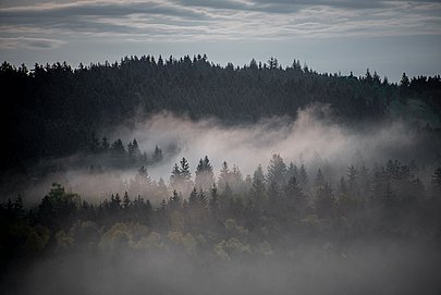 Nebel über den Ostallgäuer Wäldern