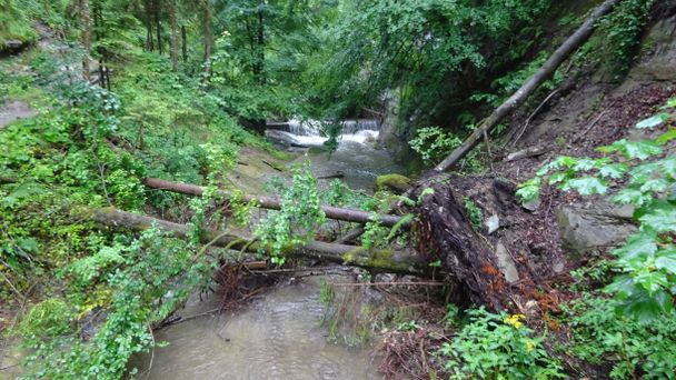 Hausbachklamm Weiler-Simmerberg