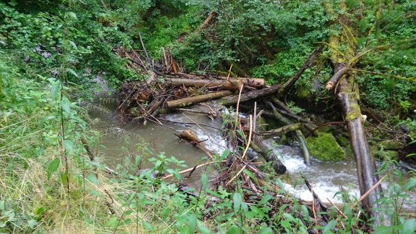 Hausbachklamm Weiler-Simmerberg