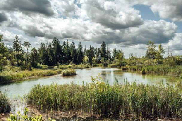 1Wurzacher Ried entdecken- hier die Haidhgauer Quellseen