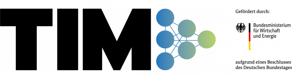 TIM Transformationsnetzwerk