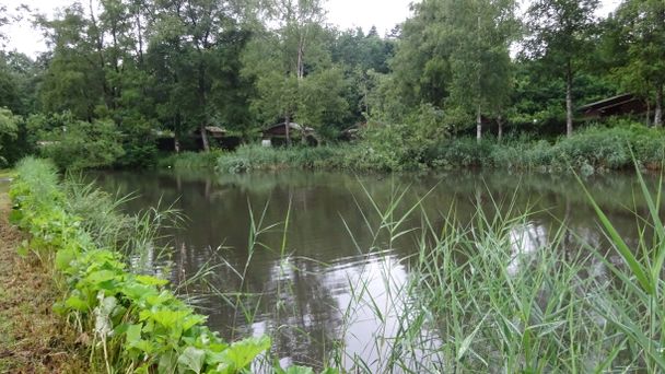 Wangen Fronwiesen