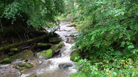 Filmlocation Hausbachklamm Weiler-Simmerberg Bach