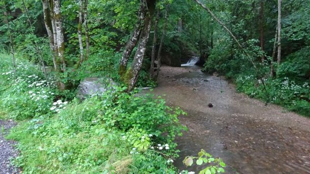 Scheidegger Wasserfälle