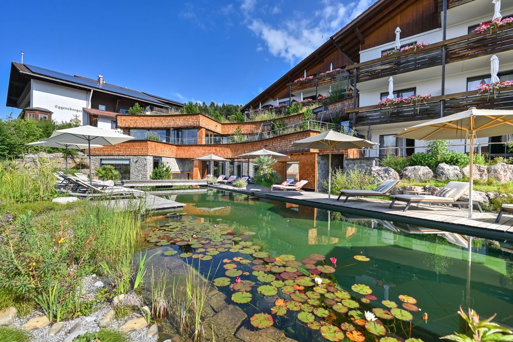 naturpool_seerosen_gruen_5768_MStruck