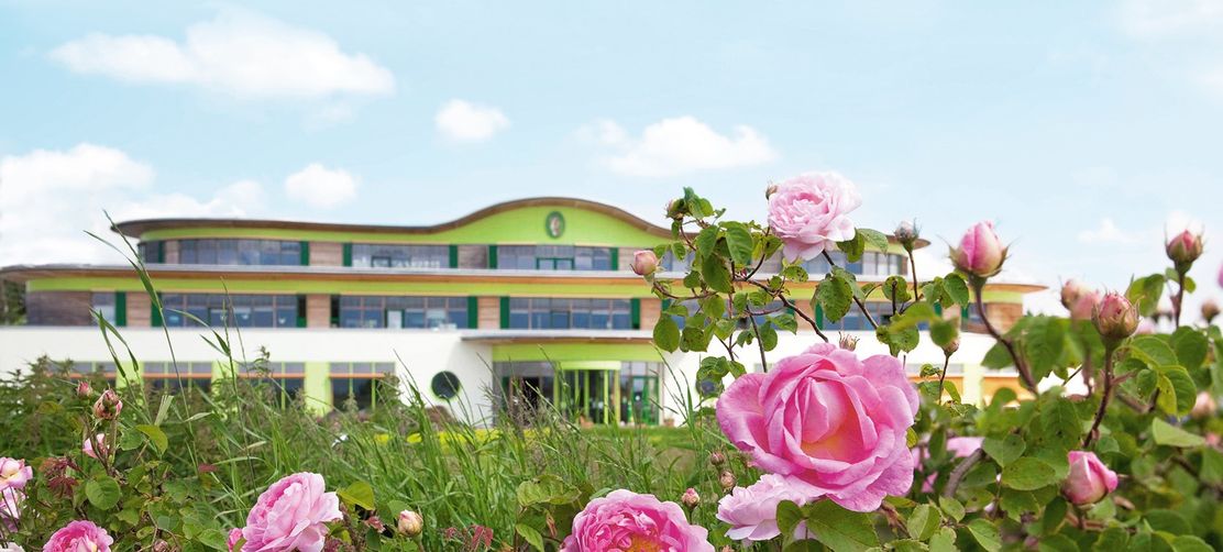 PRIMAVERA_Firmengebeauede_Rosen