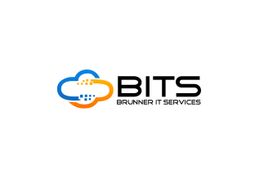BITS - Brunner IT Services GmbH & Co. KG