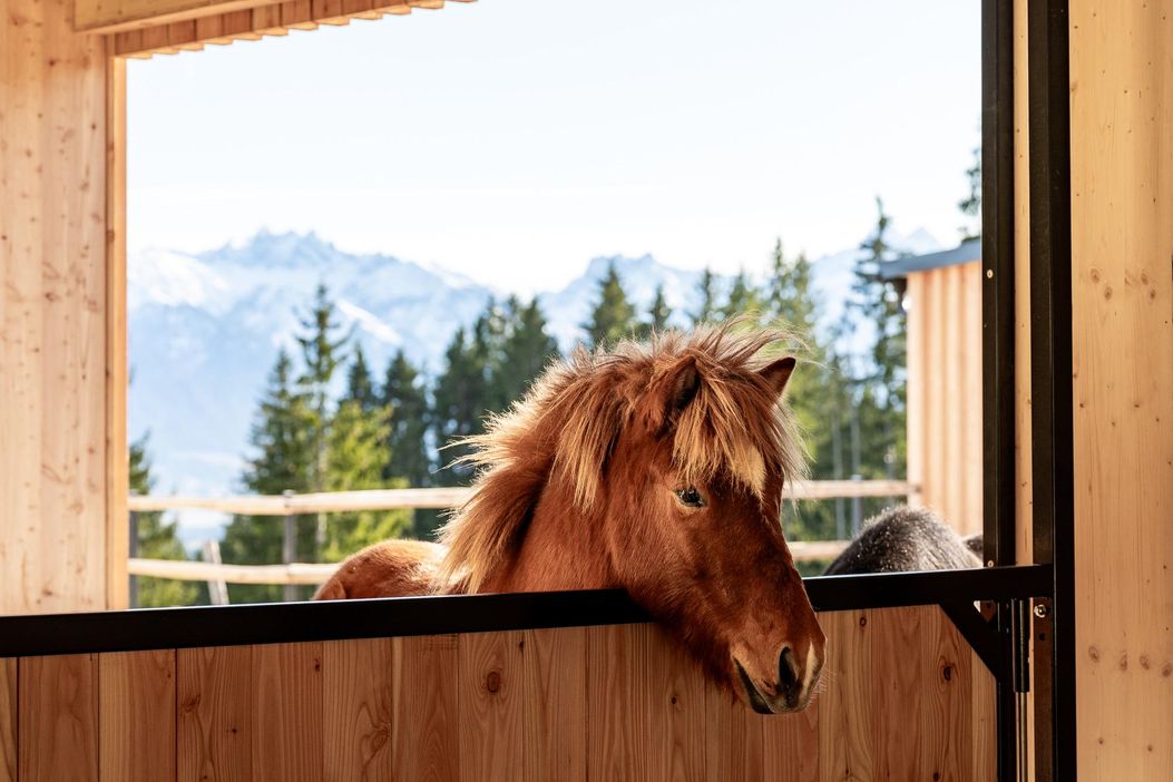 Kinderhotel-Allgaeuer-Berghof-Reiten-Pferdestall