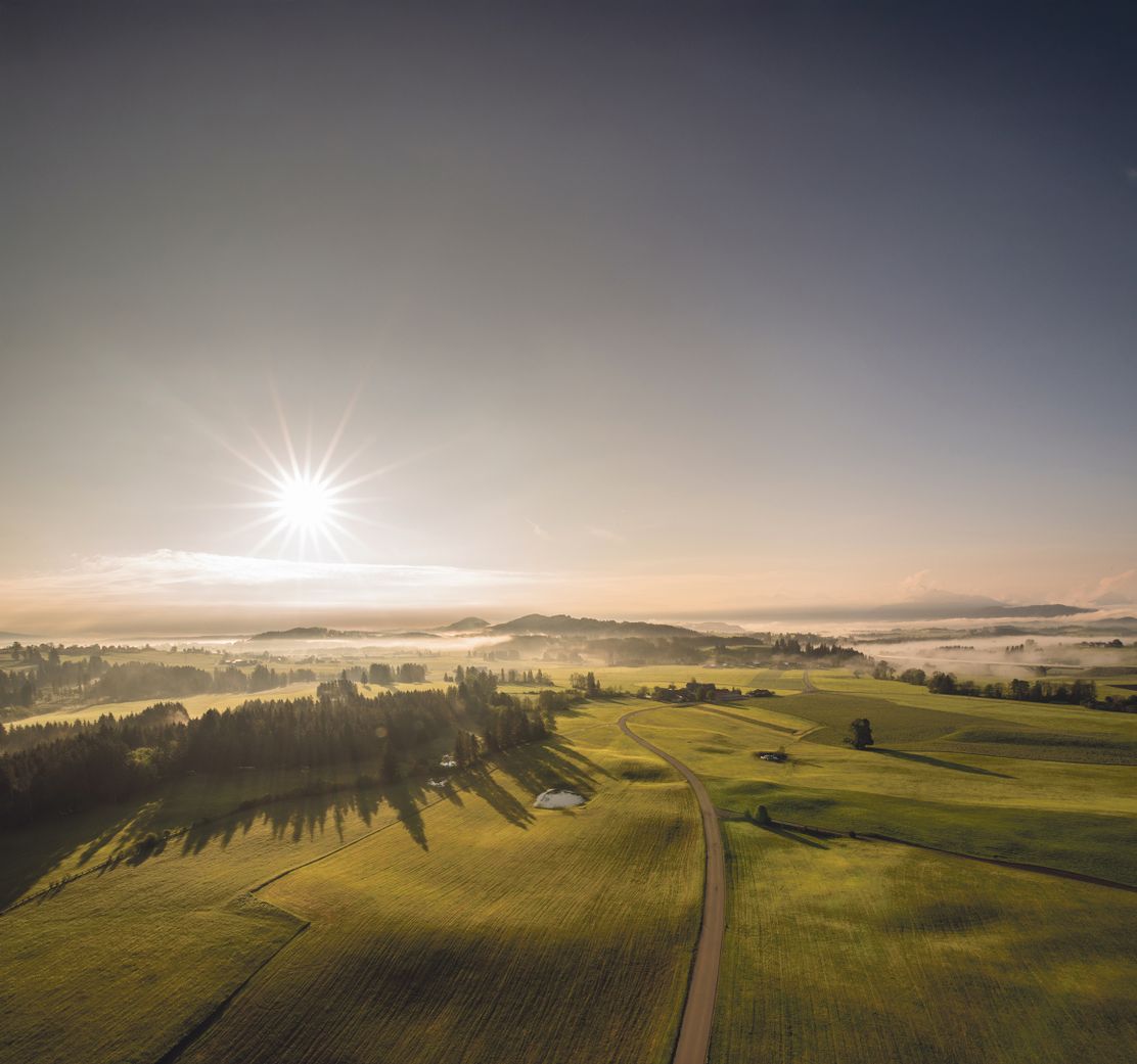 Ballon_Rückholz_RGB_online