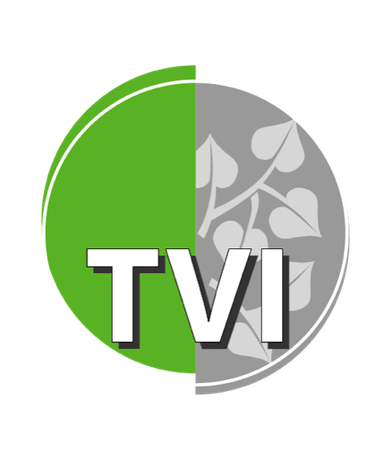 Turn und Sportverein 1860 Immenstadt - Trampolinabteilung