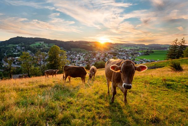 Sonnenuntergang über dem Ort Oberstaufen_(c) Oberstaufen Tourismus - Leo Schindzielorz